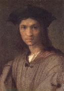 Andrea del Sarto Man portrait France oil painting artist